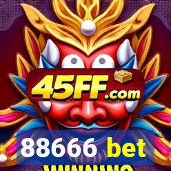 88666 bet